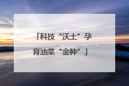 科技“沃土”孕育油菜“金种”